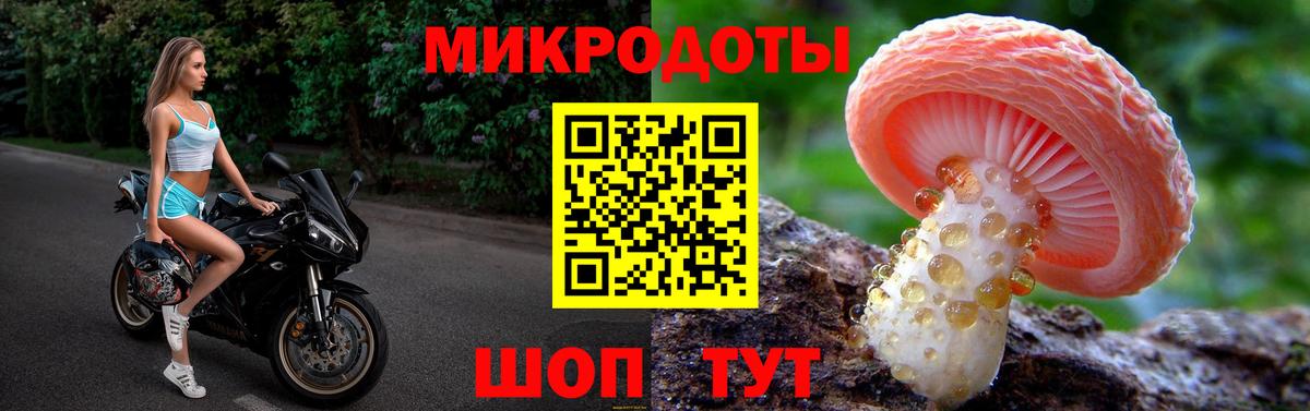 Псилоцибиновые грибы GOLDEN TEACHER  Вход с VPN  как найти наркотики  Шумерля 